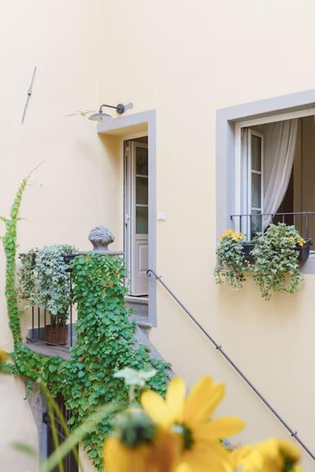 Corte Paolina - Charming Courtyard Inside Lucca Dış mekan fotoğraf