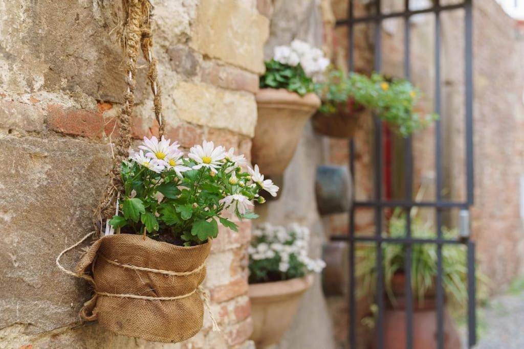 Corte Paolina - Charming Courtyard Inside Lucca Dış mekan fotoğraf