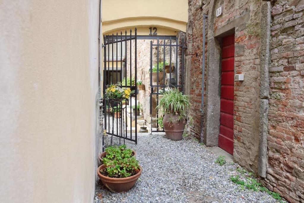 Corte Paolina - Charming Courtyard Inside Lucca Dış mekan fotoğraf