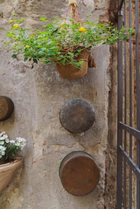 Corte Paolina - Charming Courtyard Inside Lucca Dış mekan fotoğraf